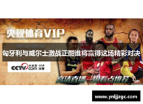 匈牙利与威尔士激战正酣谁将赢得这场精彩对决