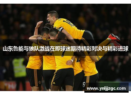 山东鲁能与狼队激战在即球迷期待精彩对决与精彩进球